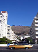 green point IMGP4957.JPG